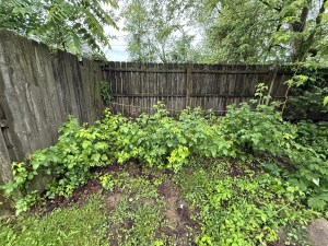 Copyright 2025 — Greg Hall