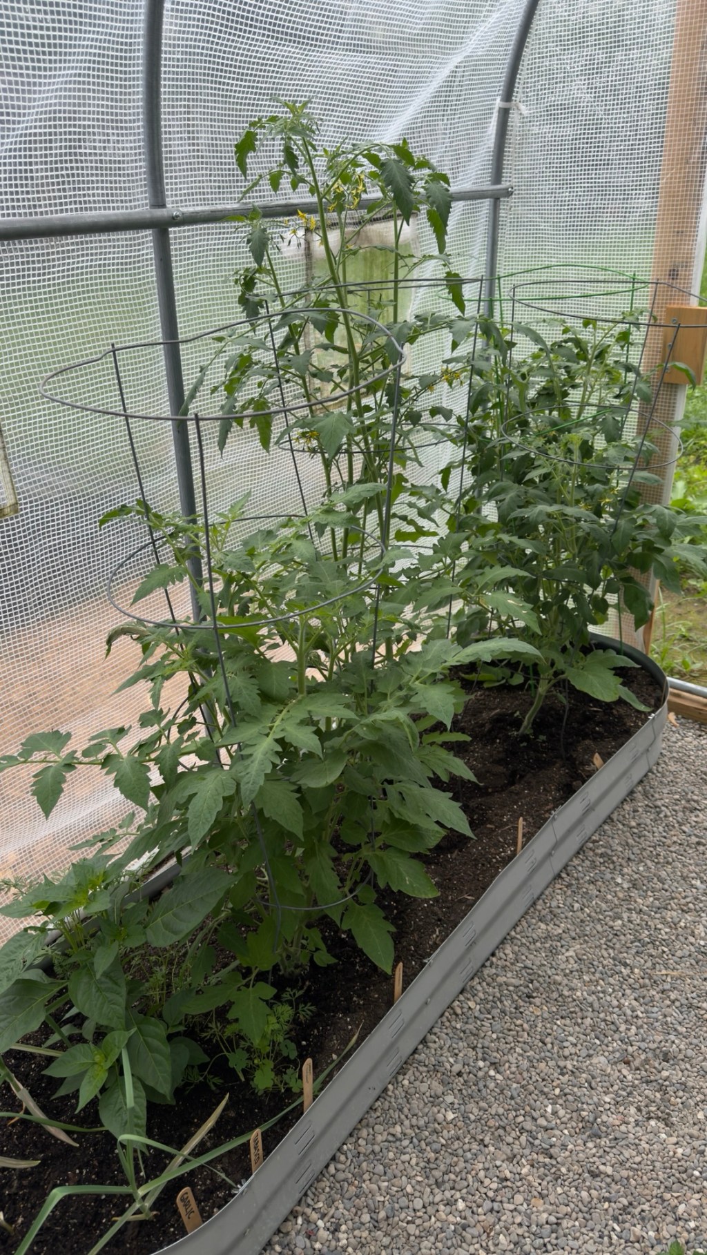 Homesteading and the Full Time&nbsp;Job